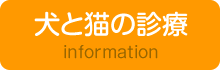 犬と猫の診療