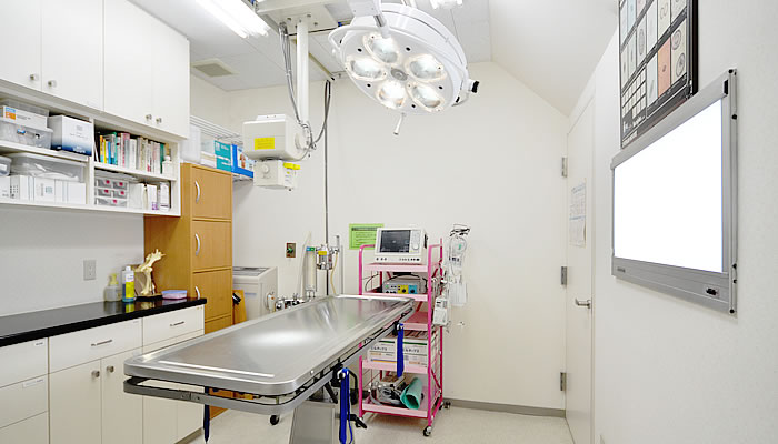 ねむの木動物病院photo