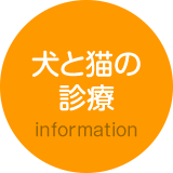 犬と猫の診療